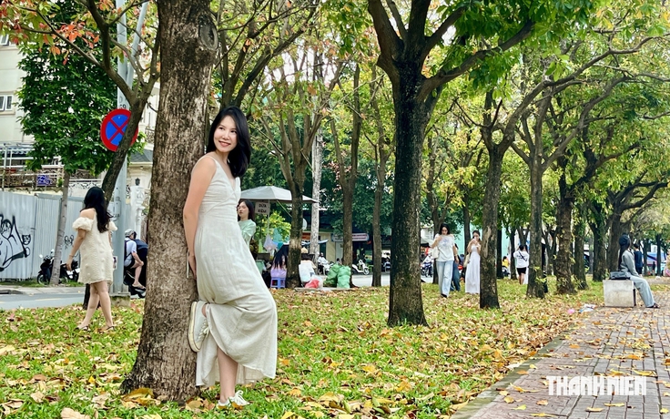 TP.HCM có một ‘con đường mùa thu’ đẹp như phim Hàn, giới trẻ mê mẩn