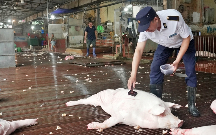 Hà Nội xóa điểm giết mổ nhỏ lẻ, ‘bước ngoặt’ xây dựng chuỗi thực phẩm an toàn