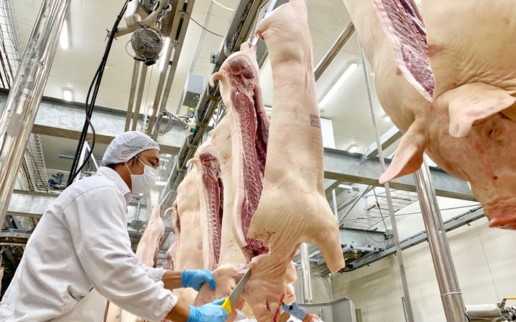 Quản lý giết mổ tại Hà Nội: Bài học từ sự đồng bộ và tầm nhìn quy hoạch