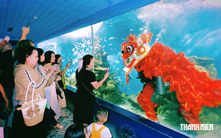 Múa lân dưới nước giữa đàn cá, đội lân tập luyện ra sao?