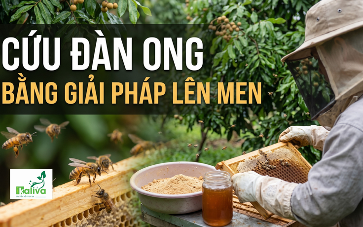 Cùng sống xanh 167: Đi lan tỏa giải pháp IMO phát hiện cách chữa tiêu chảy cho ong
