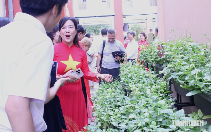 Giảng viên Nhật Bản thích thú thăm vườn rau học sinh TP.HCM chăm sóc