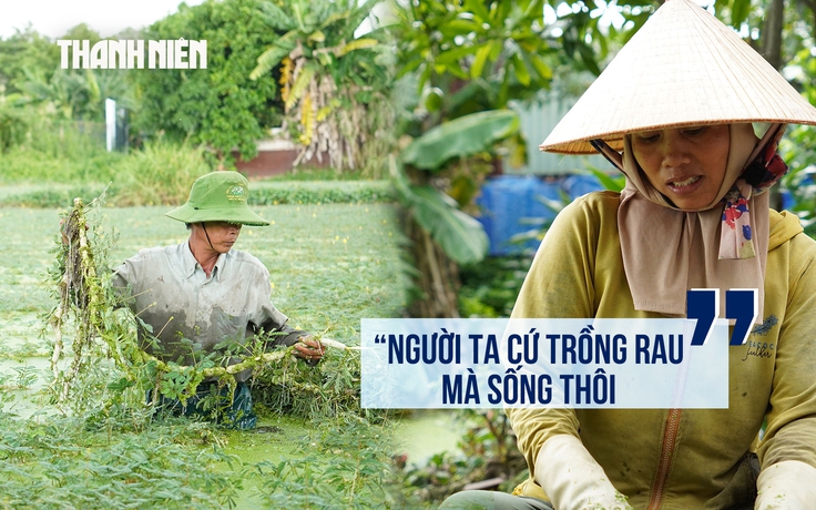 Sau 27 năm quy hoạch công viên, cuộc sống giữa những ruộng rau nhút ở Thới An giờ ra sao?