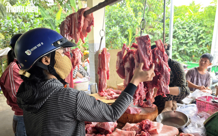Giá heo hơi hôm nay 26.9.2026: Giảm đồng loạt