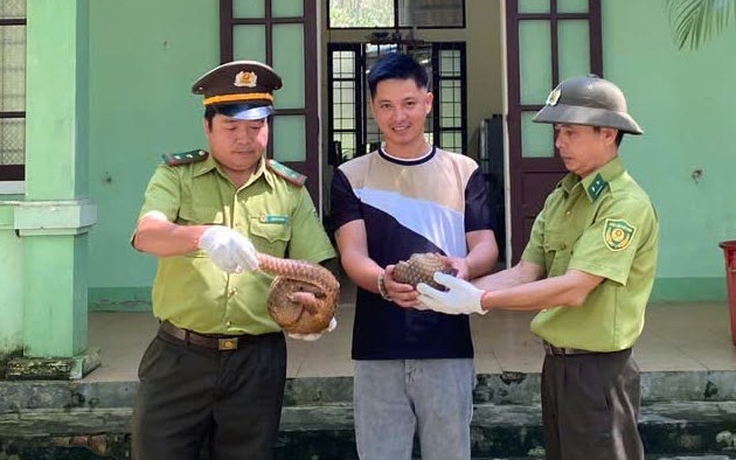 Thuyết phục người dân nhượng lại để giải cứu 2 con tê tê quý hiếm