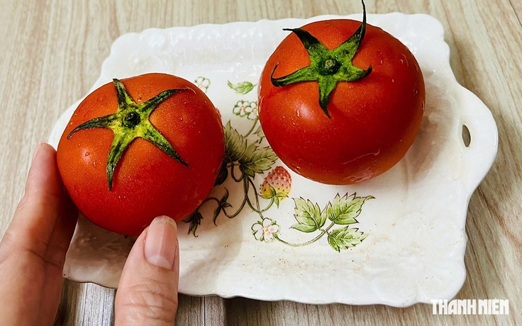 Vì sao chỉ nên ăn cà chua chín, không ăn cà chua xanh?