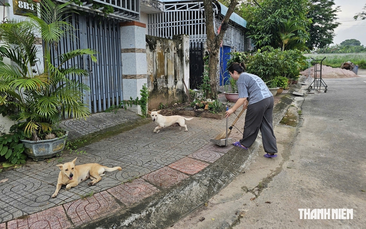 TP.HCM phát hiện 4 ổ dịch dại trên động vật