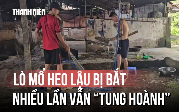 Lò mổ heo lậu sát khu công nghiệp: Bị bắt quả tang, ký cam kết rồi vẫn ngang nhiên hoạt động?