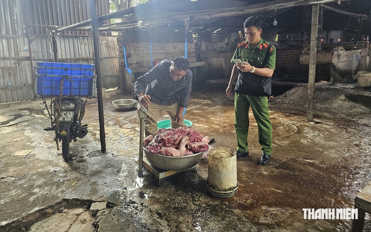 Lò mổ heo lậu bị công an bắt nhiều lần vẫn 'tung hoành' ở phường Phú Mỹ