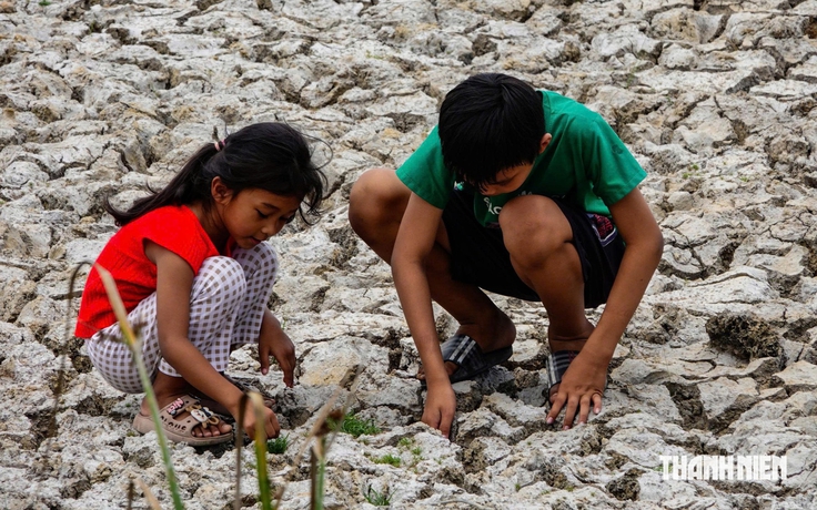 WMO: El Nino rất mạnh kéo dài đến tháng 2.2027