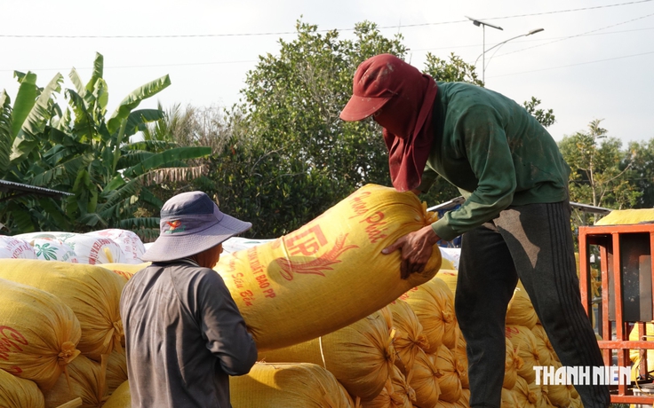'Khách ruột' của gạo Việt Nam sẽ nhập 5 triệu tấn vì El Nino