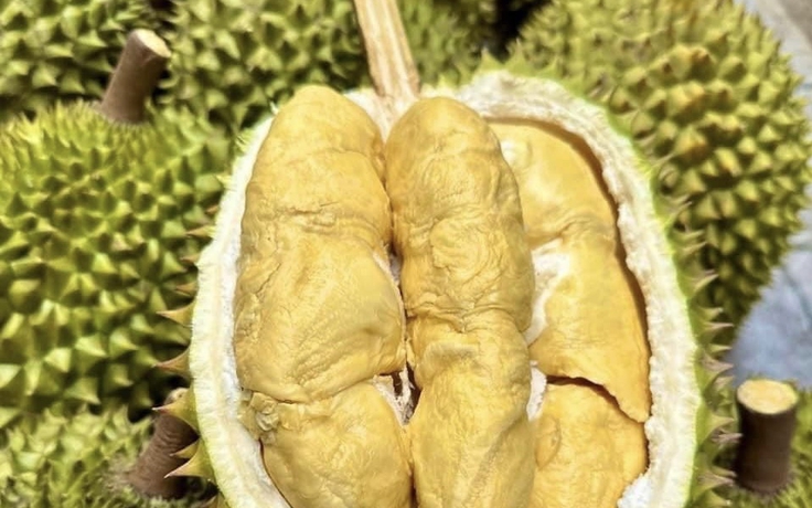 Xuất khẩu sầu riêng mang về 2,7 tỉ USD sau 8 tháng