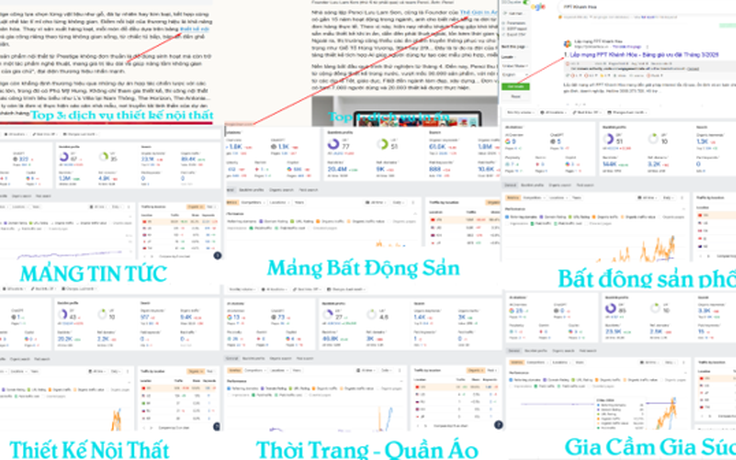 Tài Nguyên SEO: Dịch vụ backlink phù hợp theo phân tích từng website