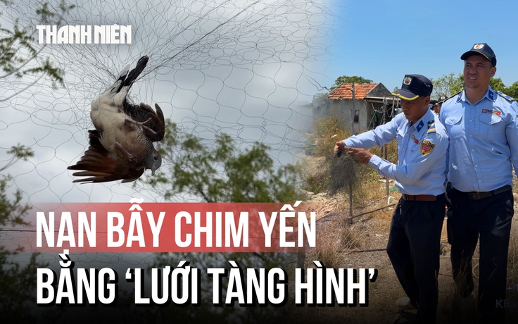Khánh Hòa mạnh tay ngăn nạn săn bắt chim yến bằng ‘lưới tàng hình’