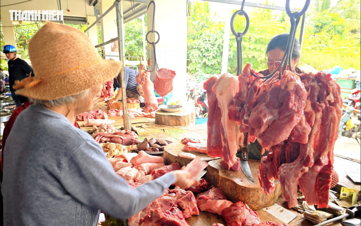 Giá heo hơi hôm nay 5.9.2026: Thị trường lặng sóng