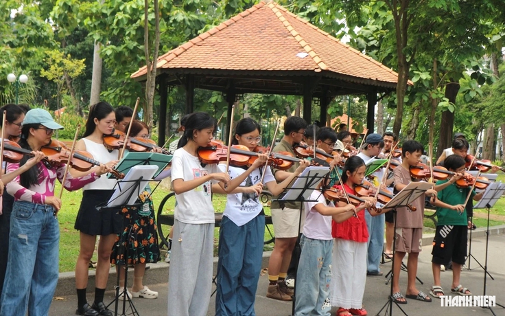Giấc mơ vĩ cầm thành hiện thực