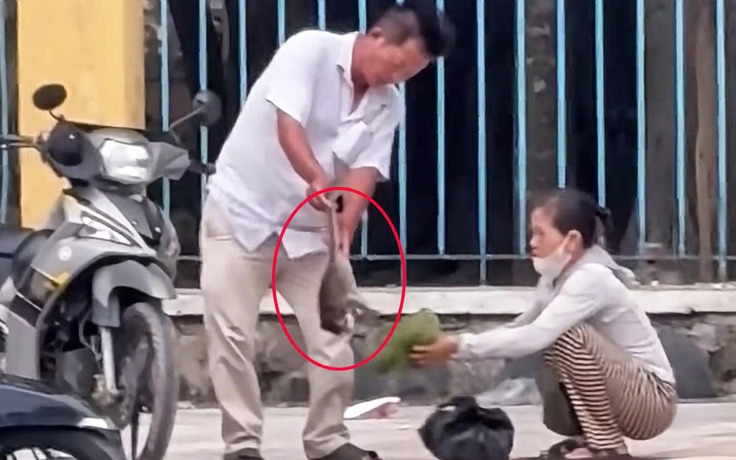 Hai người bắt khỉ con ở Tòa thánh Tây Ninh hóa ra thuộc đội bảo vệ khỉ