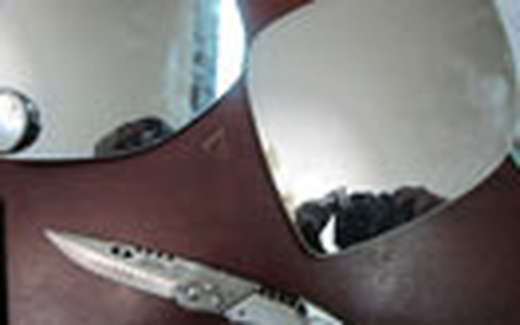 Bắt hai tên trộm gương chiếu hậu xe Audi