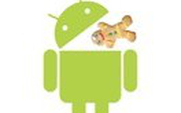 Android Gingerbread thắng lớn