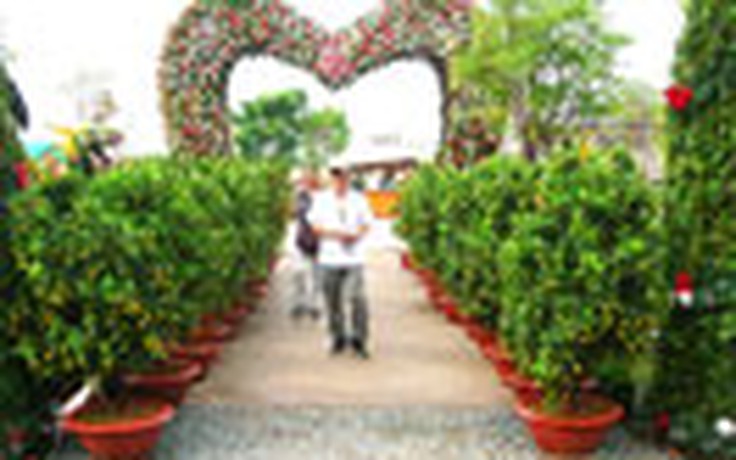 Vườn xuân Resort