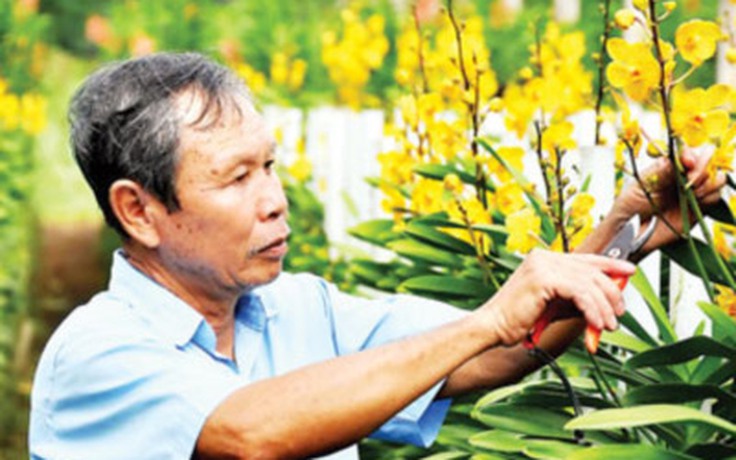 Phương Nam khoe sắc