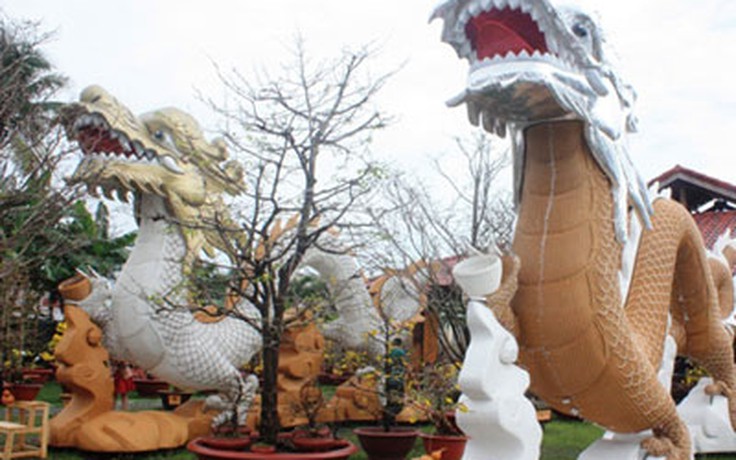 Ngắm rồng ở Nha Trang
