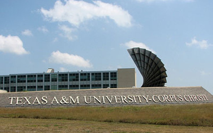 Thông tin du học Mỹ: Đại học Texas A&M Corpus Christi