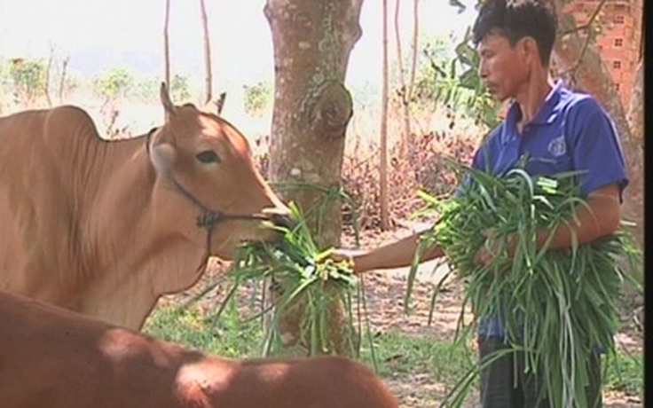 Quỹ doanh nhân với người lỗi lầm