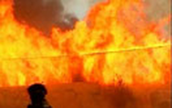 Cháy rừng hoành hành tại Chile