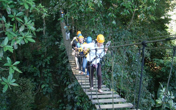 Đến Chiang Mai làm “người rừng”