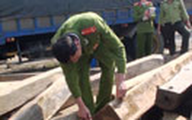 Phát hiện gỗ lậu trên sông Gianh