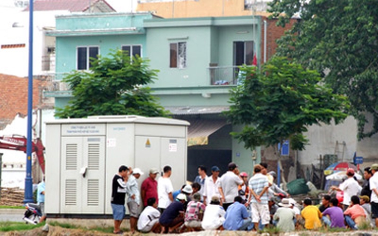 Đá gà trên đại lộ