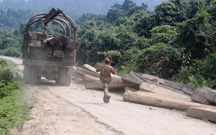 Tạm giam 7 người trong vụ phá rừng tại Hà Tĩnh
