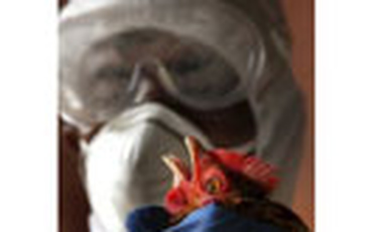 H5N1 lây từ người sang người qua không khí