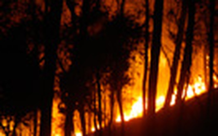 Rừng thông đặc dụng ở Huế lại bốc cháy dữ dội