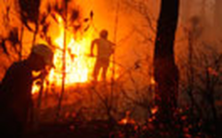Lại thêm vụ cháy rừng nghi do đốt vàng mã