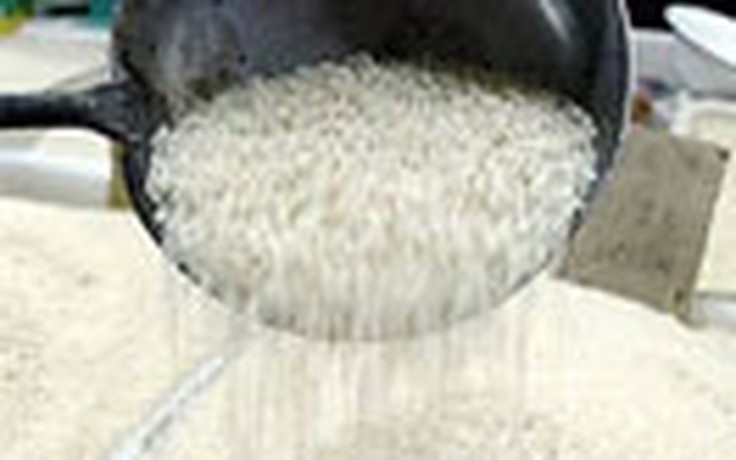 Hàn Quốc tạm ngừng mua gạo Mỹ