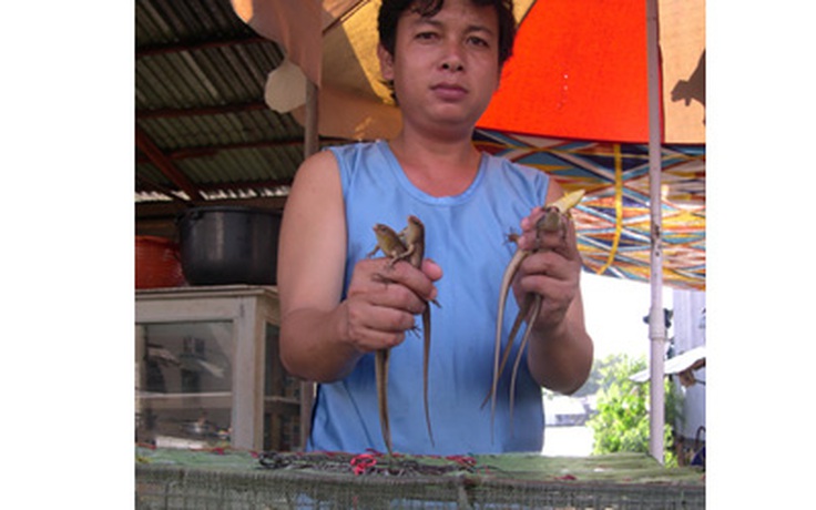 Rắn mối Campuchia về chợ vùng biên