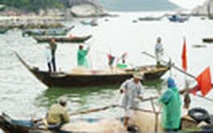 Bàn giải pháp phát triển nghề cá châu Á-TBD