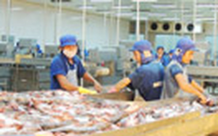 ‘Sóng ngầm’ trên thị trường cá tra