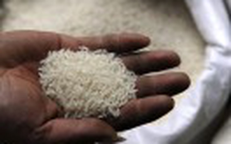 Phát hiện khoảng 10.000 tấn gạo bẩn nhiễm cadmi ở Trung Quốc