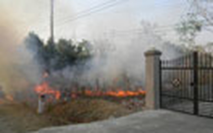 Cháy rừng quanh trụ sở Công ty Lâm nghiệp ở Ninh Thuận