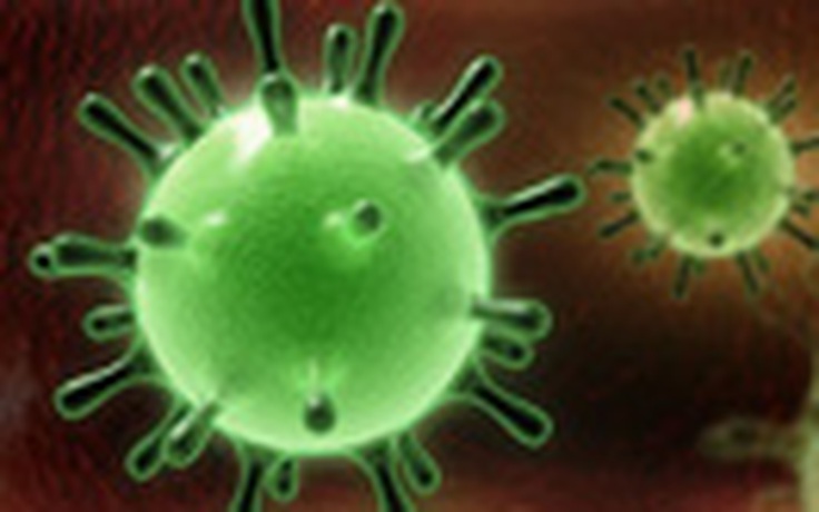 Ca tử vong thứ 11 do nhiễm vi rút mới tương tự SARS
