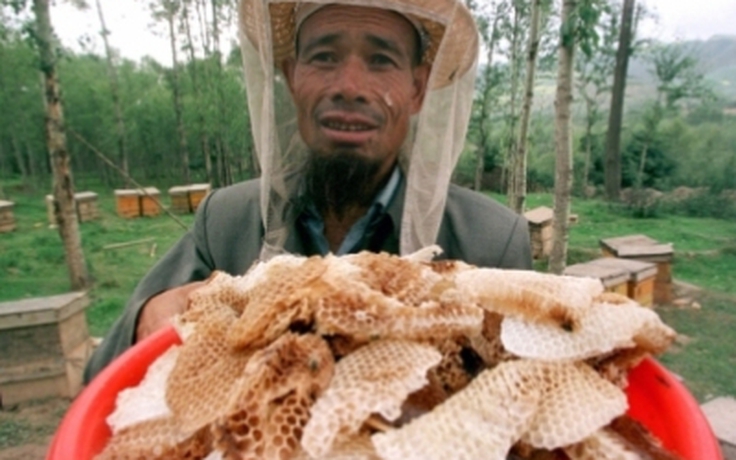Trung Quốc phát hiện mật ong giả làm từ... bột nhôm