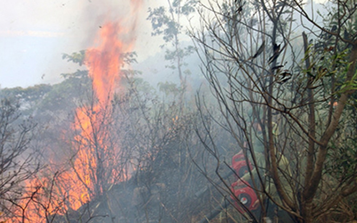 Khống chế kịp thời đám cháy ở rừng đặc dụng nam Hải Vân