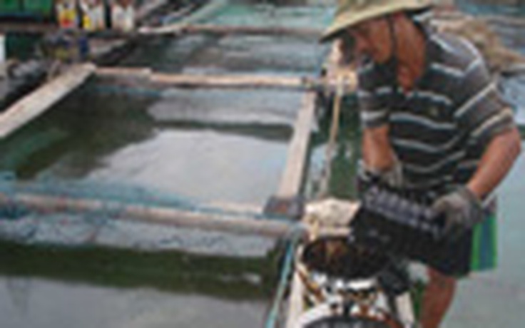 Vết dầu loang "bí ẩn" tại vùng biển Quy Nhơn