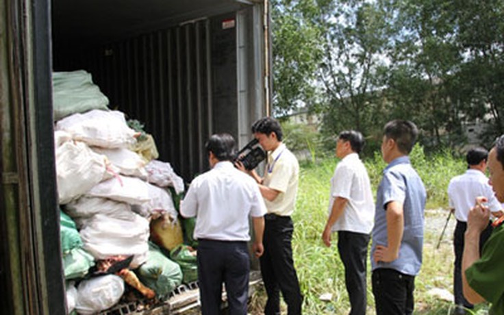 Phát hiện 2 container chứa chân trâu bò hôi thối