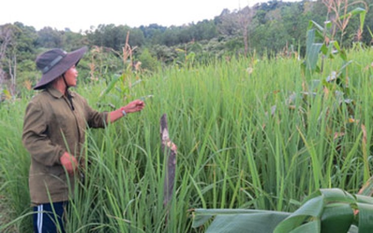 Ra dư huyền thoại