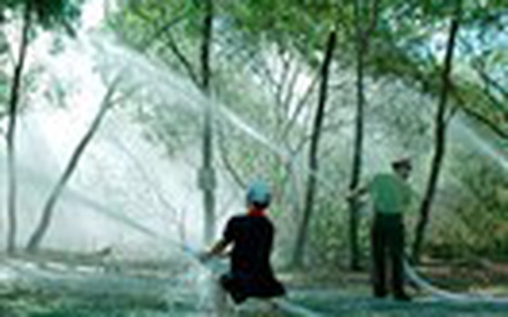 Nâng mức cảnh báo cháy rừng cấp 4 tại vườn chim bạc Liêu