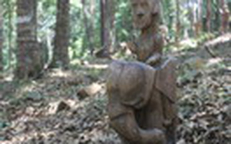 Kỳ thú rừng tượng gỗ Măng Đen